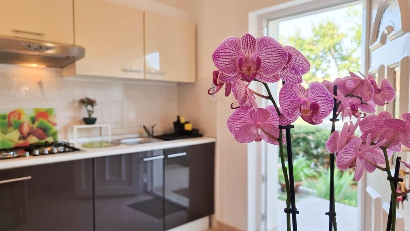 Bosko Apartman Umag Kültér fotó